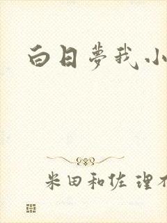 白日梦我小说封面