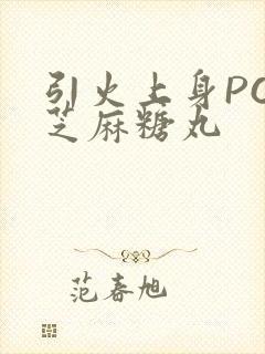 引火上身POP芝麻糖丸