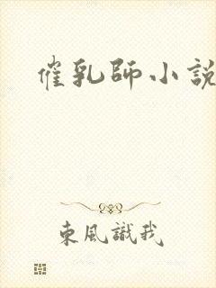 催乳师小说封面