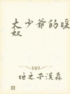 大少爷的暖床小奴