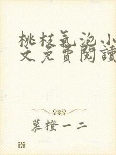 桃枝气泡小说全文免费阅读封面