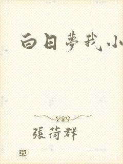 白日梦我小说