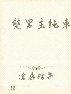 双男主纯车骨科