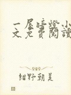 一屋暗灯小说全文免费阅读