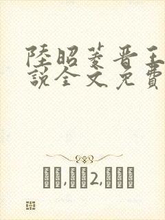 陆昭菱晋王的小说全文免费阅读