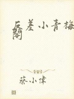 反差小青梅笔趣阁