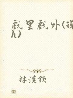 戏里戏外(现场h)