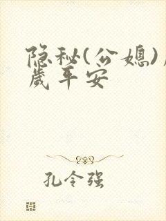 隐秘(公媳)岁岁平安封面