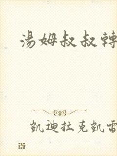 汤姆叔叔转接口