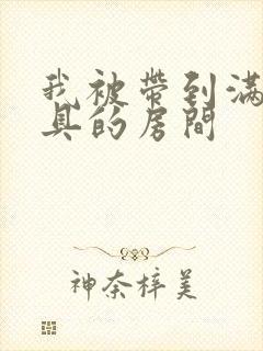 我被带到满是玩具的房间