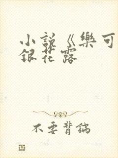 小说《乐可》金银花露封面