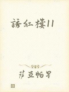 诱红楼11