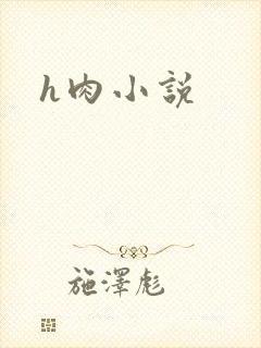 h肉小说