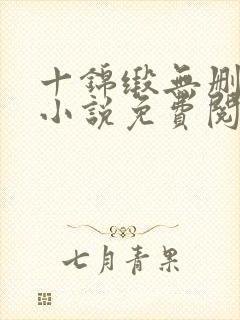 十锦缎无删原著小说免费阅读