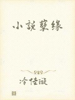 小说孽缘