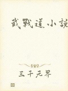 武战道小说