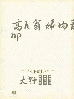 高h翁妇肉乱文np封面
