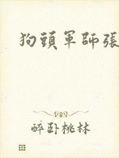 狗头军师张封面