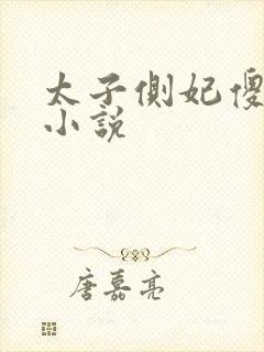 太子侧妃傻乎乎小说