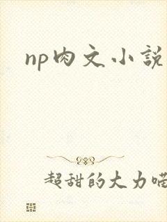 np肉文小说封面
