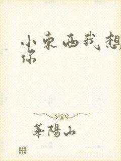 小东西我想弄坏你