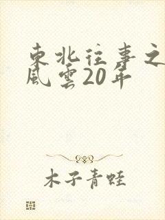 东北往事之黑道风云20年