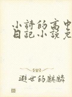 小诗的高中成长日记小说免费阅读