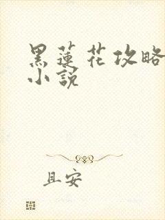 黑莲花攻略手册小说