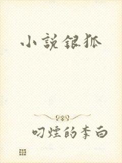 小说银狐封面