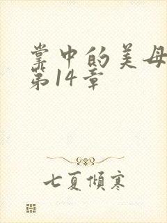 掌中的美母版主第14章封面