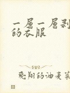 一层一层剥掉你的衣服