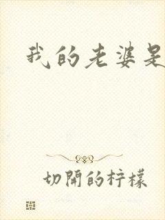 我的老婆是军阀封面