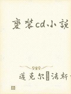 变装cd小说封面