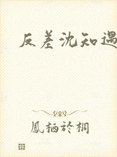 反差沈知遇晏应