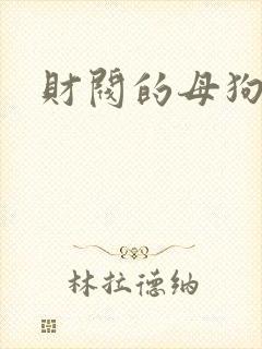 财阀的母狗们封面