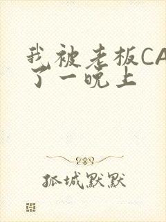 我被老板CAO了一晚上