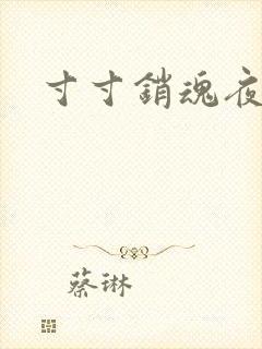 寸寸销魂夜春光