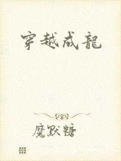 穿越成龙