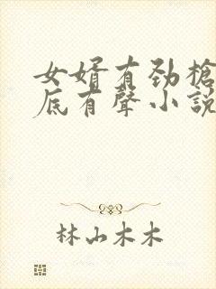 女婿有劲枪枪到底有声小说