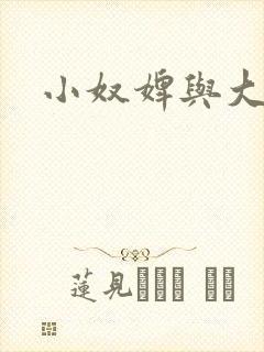 小奴婢与大少爷