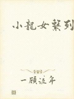 小龙女系列小说