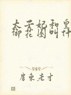 太子妃和皇帝在御花园叫什么小说