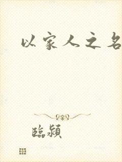 以家人之名小说