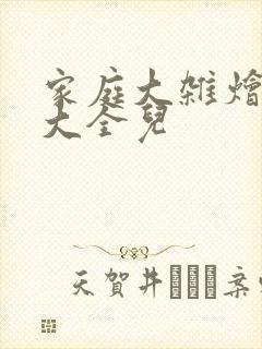 家庭大杂烩小说大全儿封面