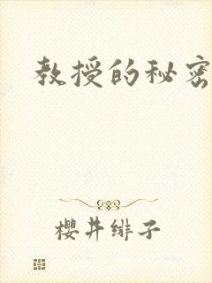 教授的秘密封面