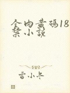 全肉黄码18无禁小说封面