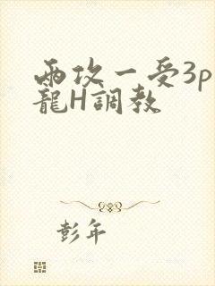 两攻一受3p双龙H调教