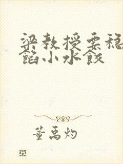 梁教授要稳住肉馅小水饺