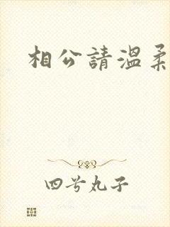 相公请温柔一点封面