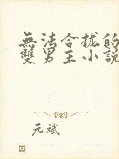 无法合拢的总裁双男主小说